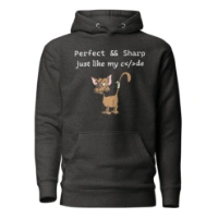 Picture of Perfect And Sharp Hoodie